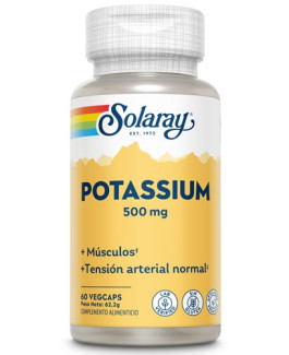 Potassium 500 mg