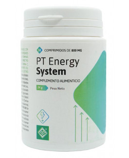 PT Energy System