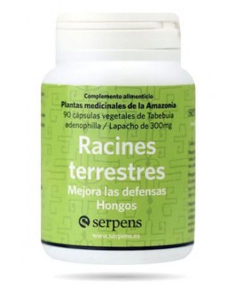 Racines Terrestres (Serpens)