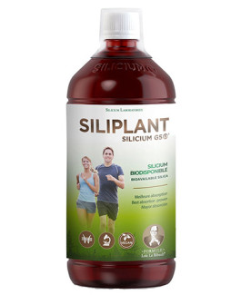 Silicium G5 Siliplant