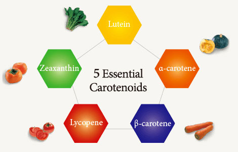 Carotenoides antioxidantes-Carotenos mixtos