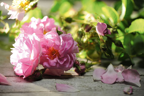Agua Floral de Rosa de Bulgaria Esential Aroms