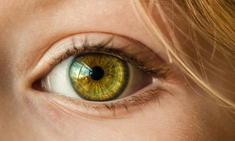 Contorno de Ojos Pro Collagen Esential Aroms