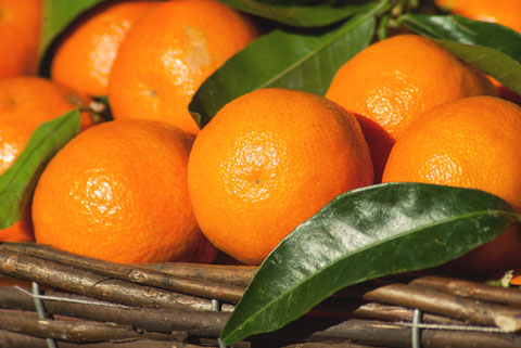 Esencial de Mandarina Esential Aroms