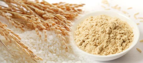 Comprar Proteína de Arroz Bonusan