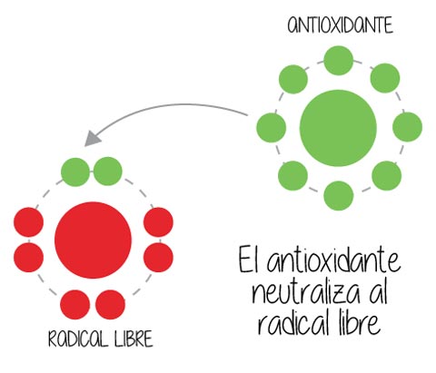 Comprar Ultra-AntiOxidante