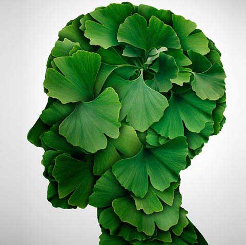 Ginkgo Biloba Pharma Nord