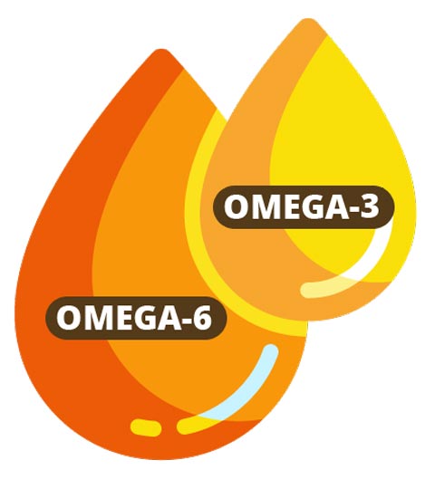 Pharma Nord Omega 3 y 6