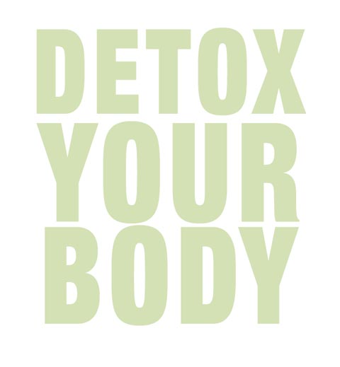 Kyolic 105 Detox