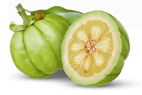 Comprar Garcinia Cambogia Solaray