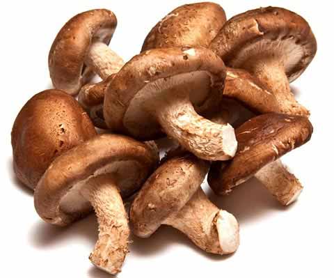 Comprar Shiitake Solaray