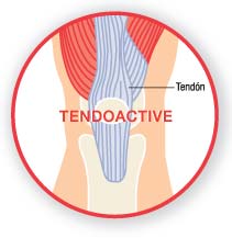 TendoActive Bioiberica